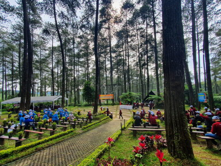 Orchid Forest Cikole: