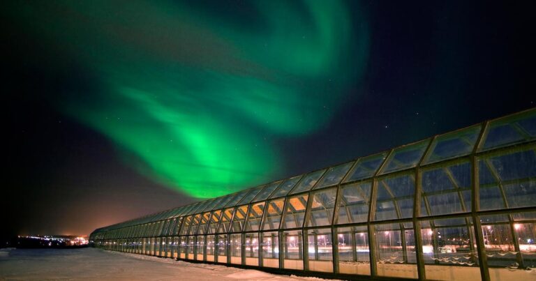 Arktikum