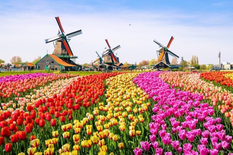 Taman Bunga Keukenhof