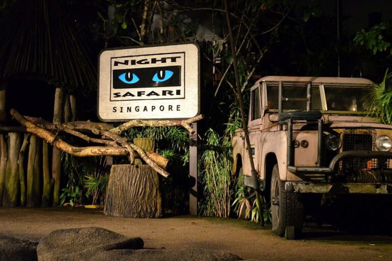 Night Safari