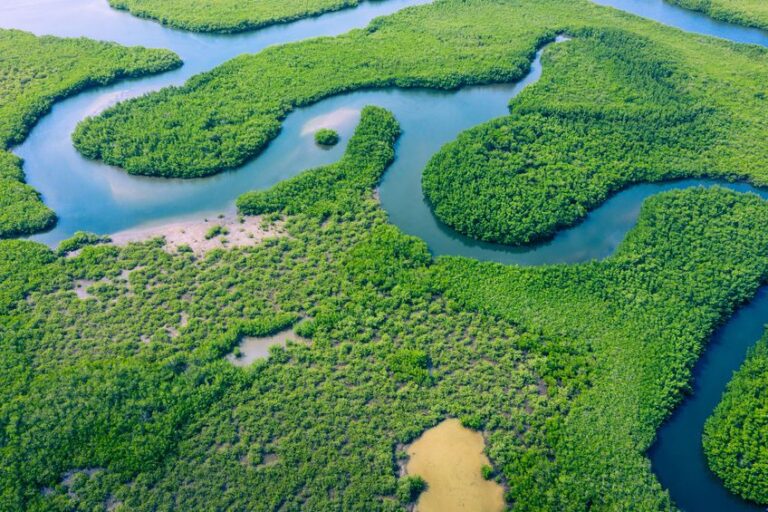 Hutan Hujan Amazon