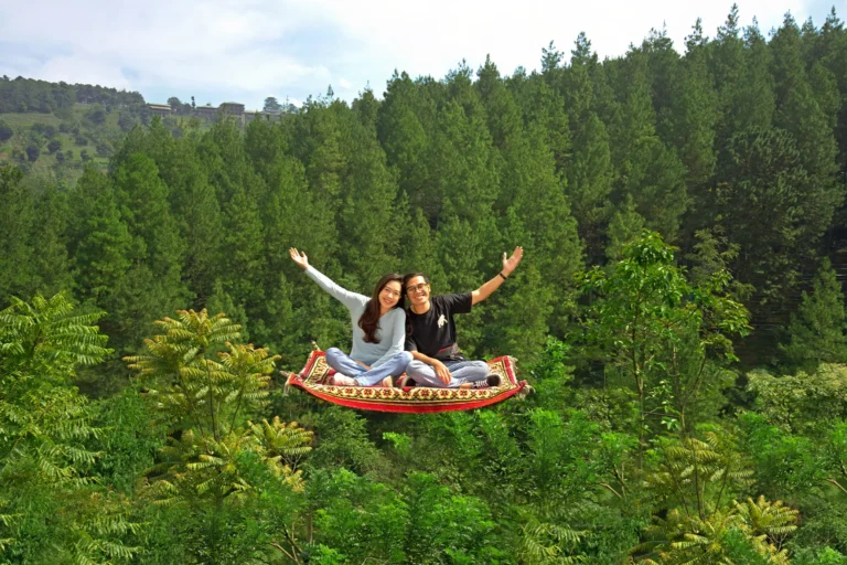 Dago Dream Park