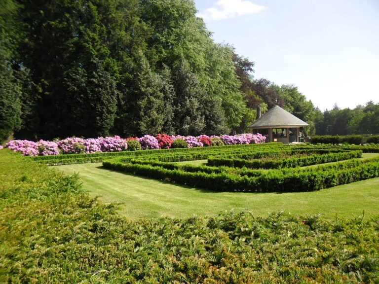 Taman Nasional De Hoge-Veluwe