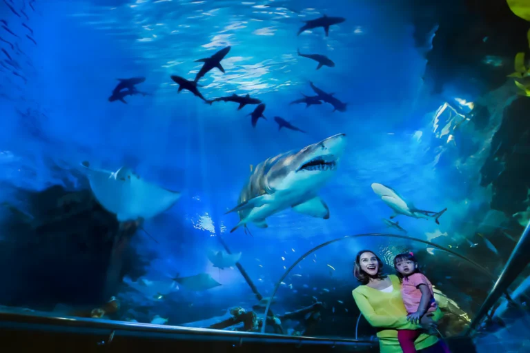 Aquaria KLCC