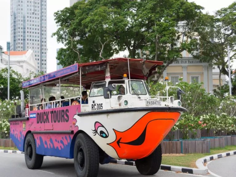 The Original DUCKtours