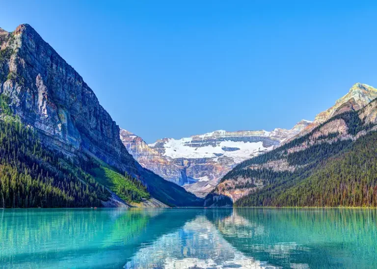 Taman Nasional Kerbau Kayu: Keajaiban Alam di Provinsi Alberta Taman Nasional Kerbau Kayu (Bison National Park), terletak di provinsi Alberta, Kanada, adalah salah satu kawasan alam yang paling menakjubkan dan penuh sejarah. Taman ini tidak hanya menawarkan pemandangan alam yang luar biasa, tetapi juga berperan penting dalam konservasi kerbau kayu, salah satu spesies yang hampir punah pada awal abad ke-20. Dengan keanekaragaman hayati yang kaya dan keindahan alam yang memukau, taman ini menjadi destinasi wajib bagi para pecinta alam dan petualang.  Sejarah Taman Nasional Kerbau Kayu Asal Usul Pembentukan Taman Taman Nasional Kerbau Kayu didirikan pada tahun 1900, dengan tujuan utama untuk melindungi dan melestarikan populasi kerbau kayu yang semakin menurun. Pada masa itu, kerbau kayu hampir punah akibat perburuan berlebihan dan hilangnya habitat alami mereka. Pembentukan taman ini menjadi langkah penting dalam upaya konservasi satwa liar dan menjaga keseimbangan ekosistem yang ada.  Di dalam taman ini, populasi kerbau kayu berhasil dipulihkan secara signifikan, menjadikannya simbol kesuksesan dalam konservasi satwa liar di Kanada. Seiring berjalannya waktu, taman ini tidak hanya berfokus pada kerbau kayu, tetapi juga melindungi beragam spesies flora d
