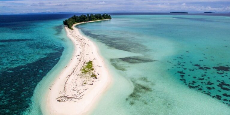 Taman Nasional Teluk Cenderawasih: Surga Laut Terbesar di Indonesia