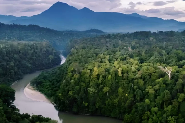 eksplorasi-keindahan-taman-nasional-gunung-leuser