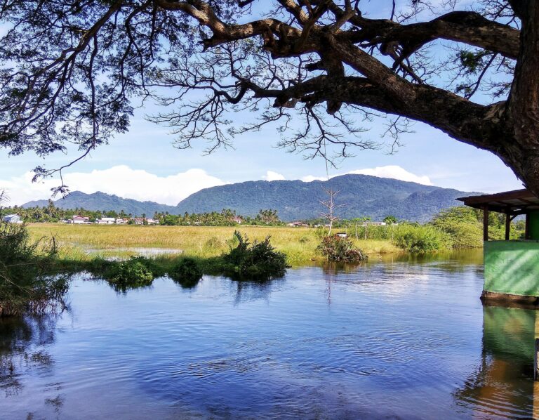 keindahan-bukit-lhok-eumpe-di-aceh