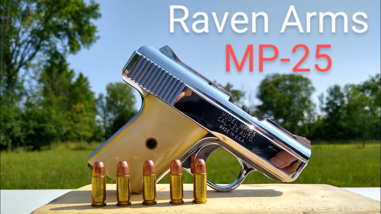 evaluasi-senjata-terbaik-raven-mp-25-untuk-pengguna-profesional